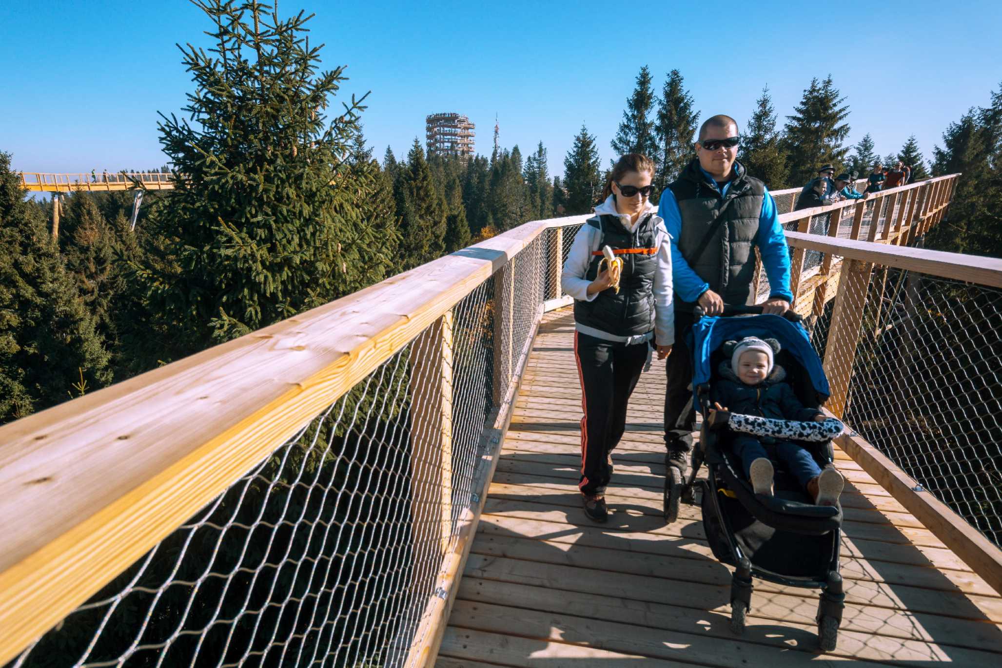 kočiar chodni korunami stromov bachledka | Bachledka Ski & Sun